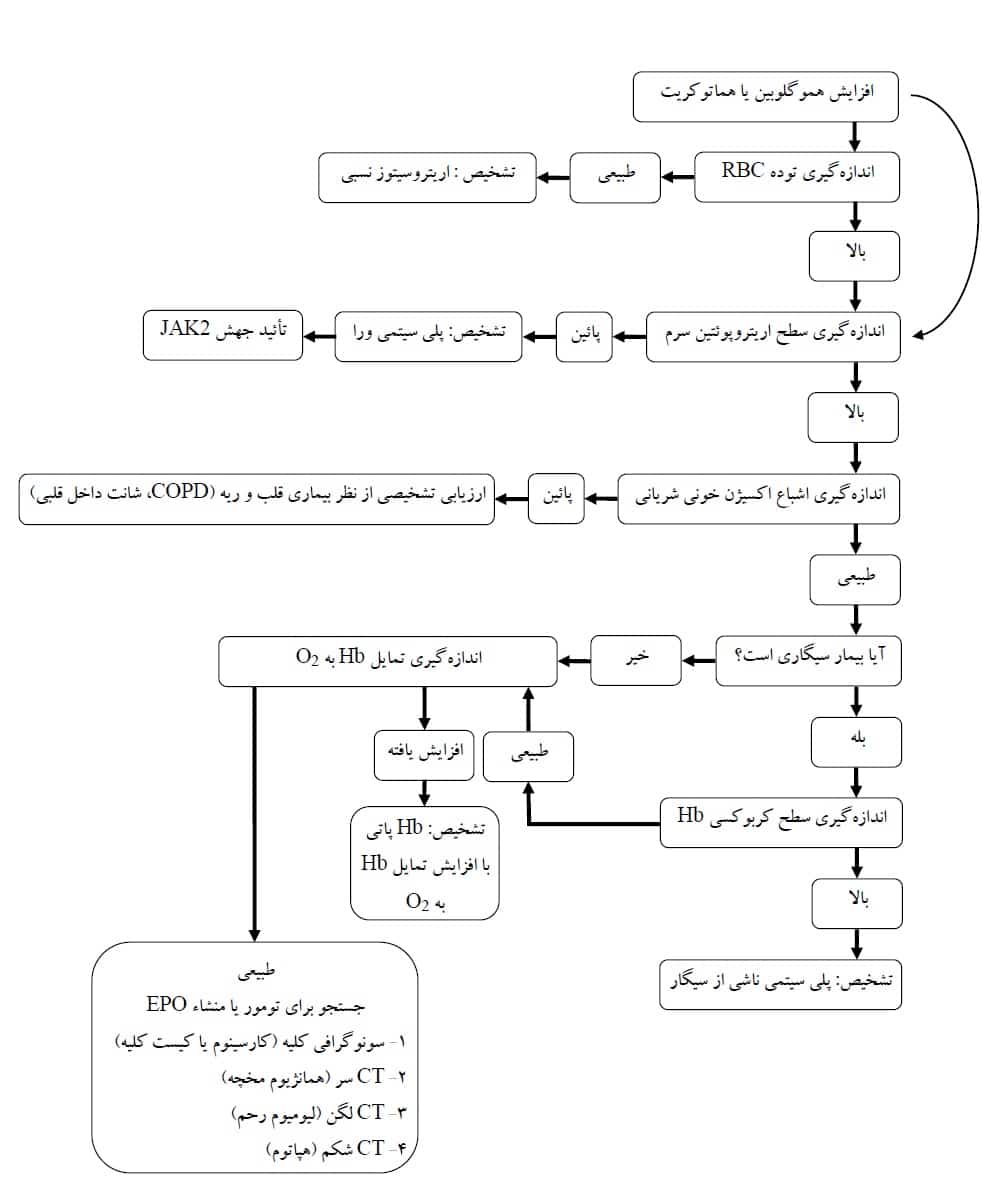 الگوریتم پلی سیتمی